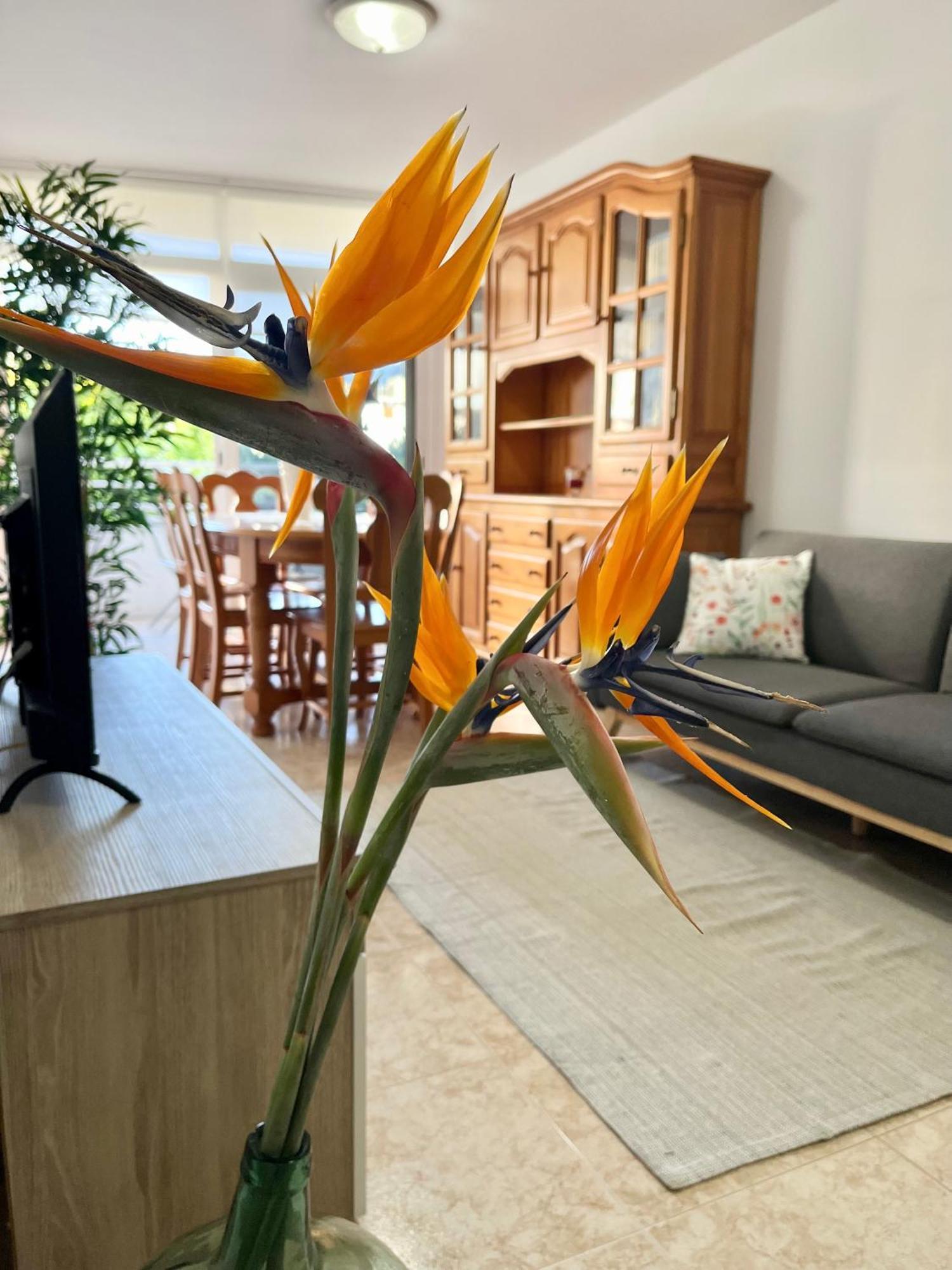 Piso Centrico Corazon De Aridane Apartman Los Llanos De Aridane Kültér fotó